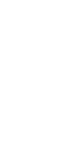 seo_text amssolutions